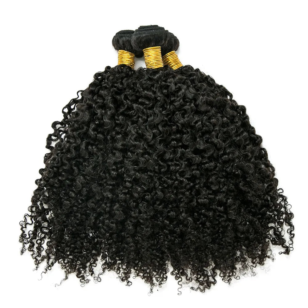 Box braided wigs with jumbo size for a bold lookMulti-Textured Kinky Curly Weft Bundles Human Hair