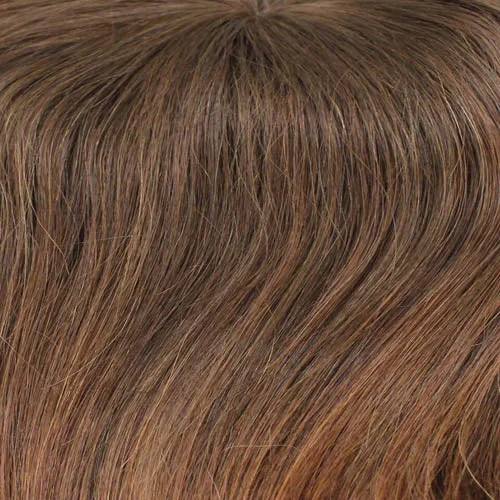 *06/30T | Medium Chestnut Brown Tipped w/Medium Auburn